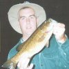 Fish Picture