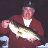 Fish Picture