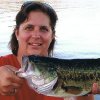 Fish Picture
