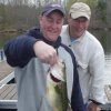 Fish Picture