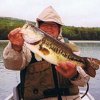 Fish Picture