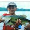 Fish Picture